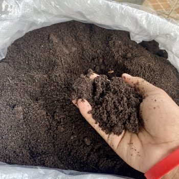 Organic Fertilizer Vermicompost by Sadaya Indo Fertilizer in 50 Kg Packaging